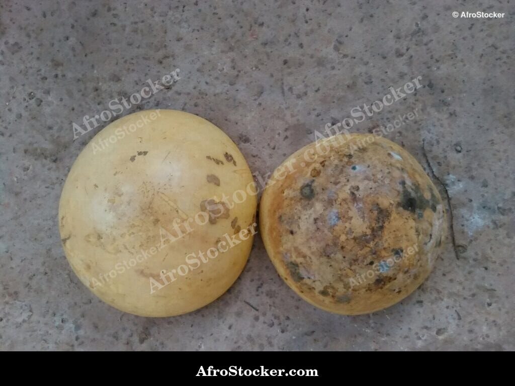 Two African Kitchen Calabashes, Traditional Craft