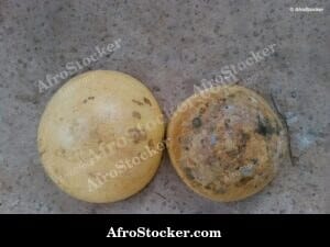 Two African Kitchen Calabashes, Traditional Craft