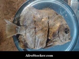 Dried Fish in Basket, African Fishmonger