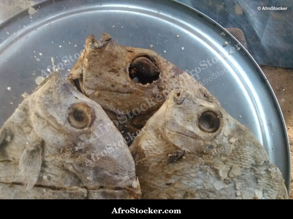 Dried Fish Drying Process, Africa