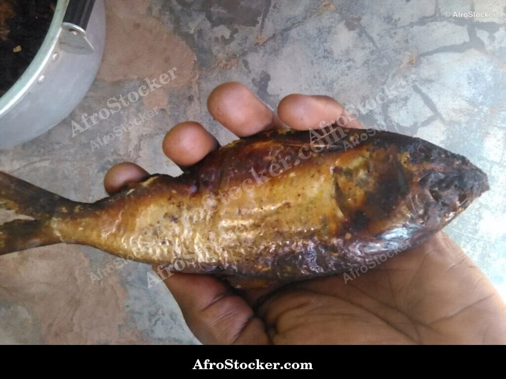Dried Fish Texture Detail, Africa