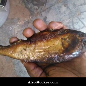 Dried Fish Texture Detail, Africa
