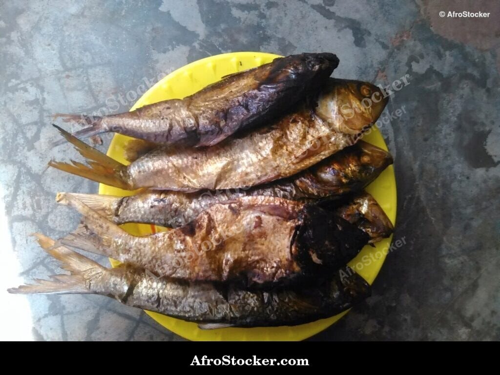 Dried Fish Trade, Coastal Village Africa