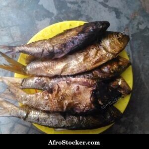 Dried Fish Trade, Coastal Village Africa