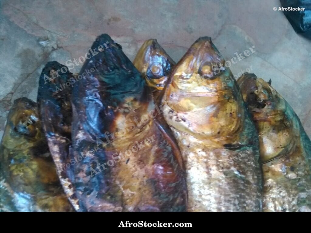 Dried Fish Vendor Display, Africa