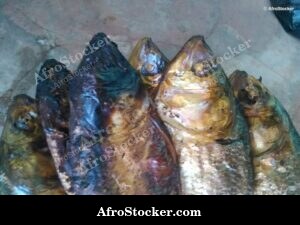 Dried Fish Vendor Display, Africa