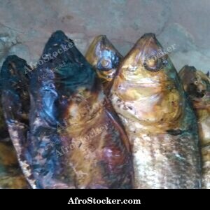 Dried Fish Vendor Display, Africa