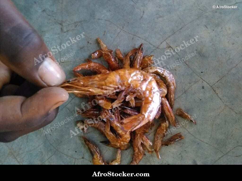 Dried Shrimp Bag, African Vendor