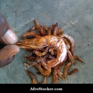 Dried Shrimp Bag, African Vendor