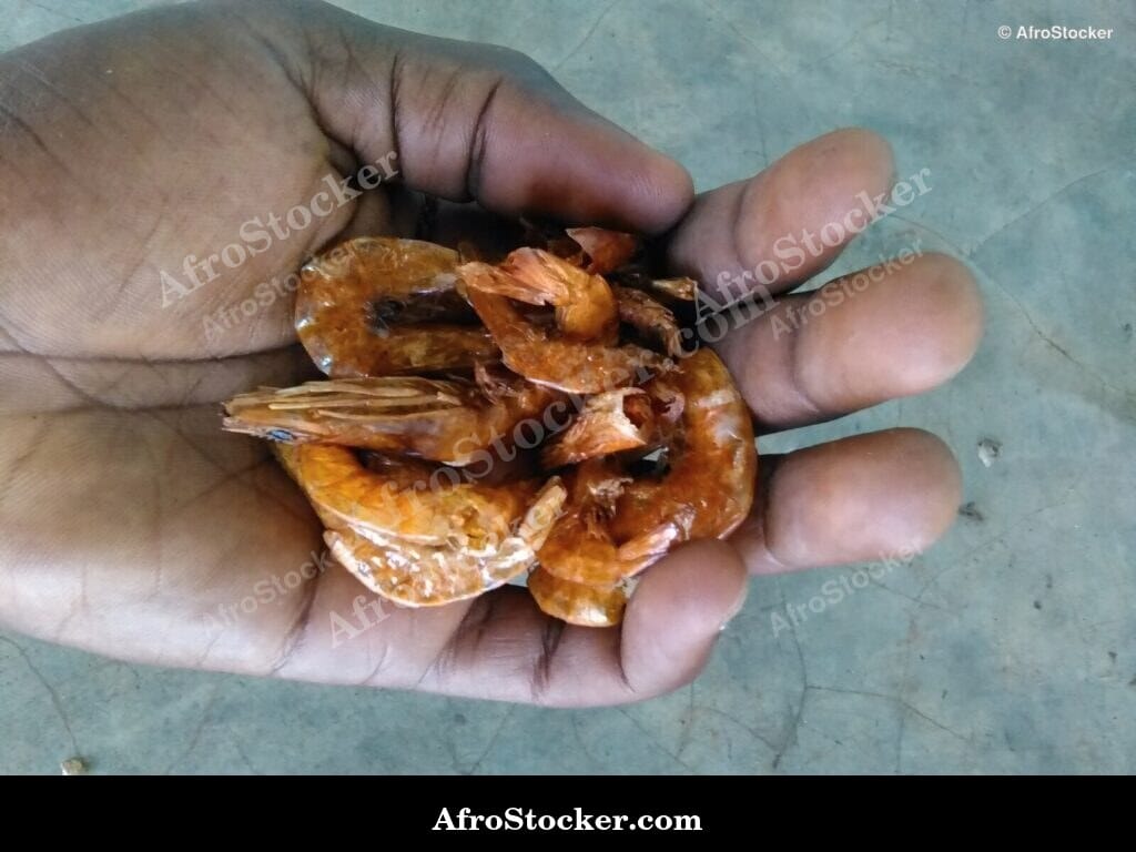 Dried Shrimp at Market Stall, Africa