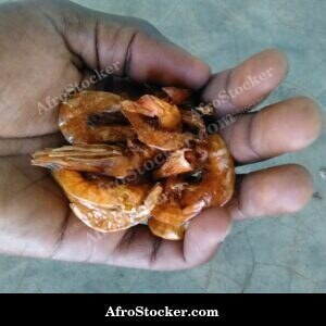 Dried Shrimp at Market Stall, Africa