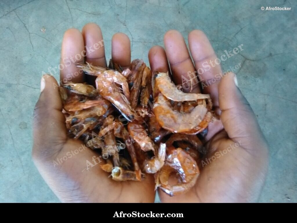 Dried Shrimp Pile, African Market