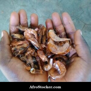 Dried Shrimp Pile, African Market