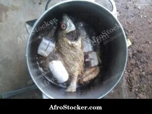 Fish Cooking with Steam, Pot Africa