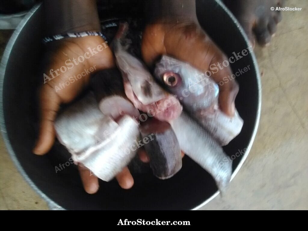 Fish Frying in Pan, African Kitchen