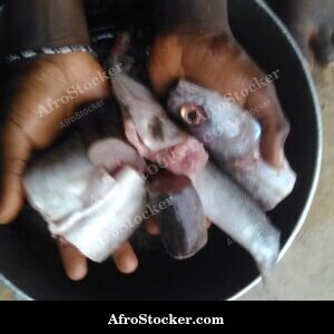 Fish Frying in Pan, African Kitchen