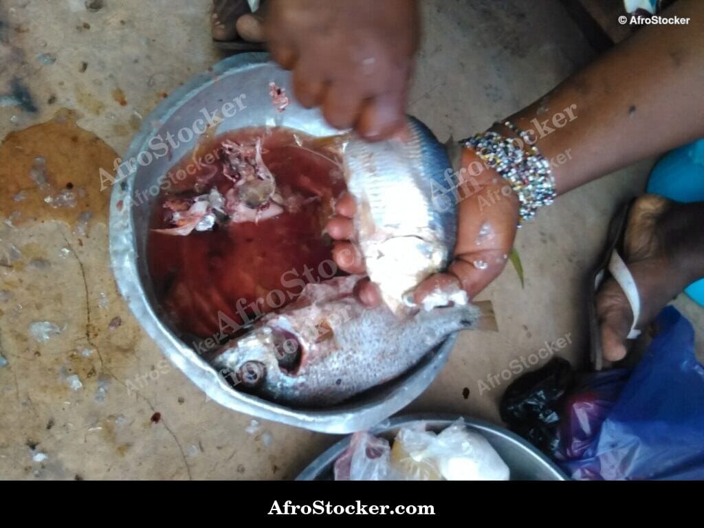Fish Meal Plated for Serving, Africa