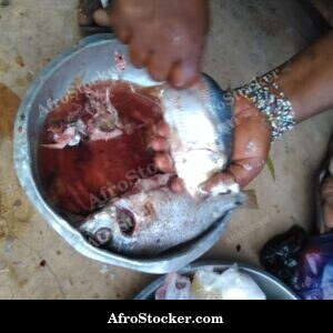 Fish Meal Plated for Serving, Africa