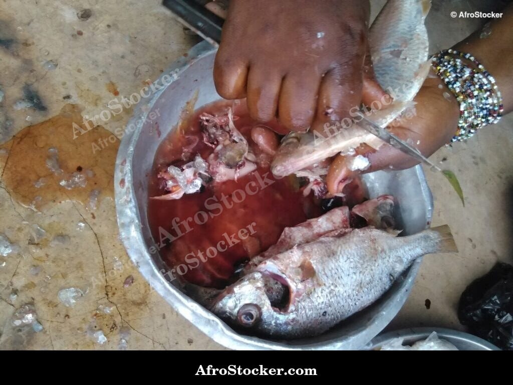 Fish with Spices Marinade Preparation, Africa