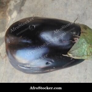 african eggplants harvest basket vegetable