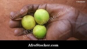 Fresh Citrus Lemons at African Market