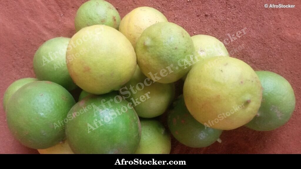 Fresh Lemons Pile at Market, Africa