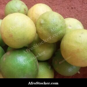 Fresh Lemons Pile at Market, Africa