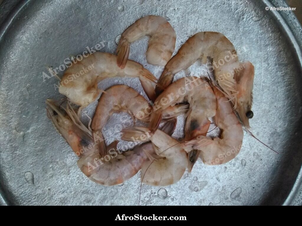 Fresh Shrimp Catch, African Coast
