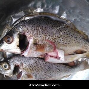 Fried Fish with Golden Crust, Africa
