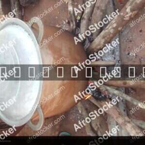 Rice Cooking in Large Pot Over Wood Fire - AfroStocker