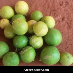 Green Lemons on Tree Branch, Africa