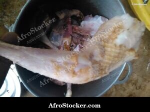 Grilled Chicken Leg, African BBQ