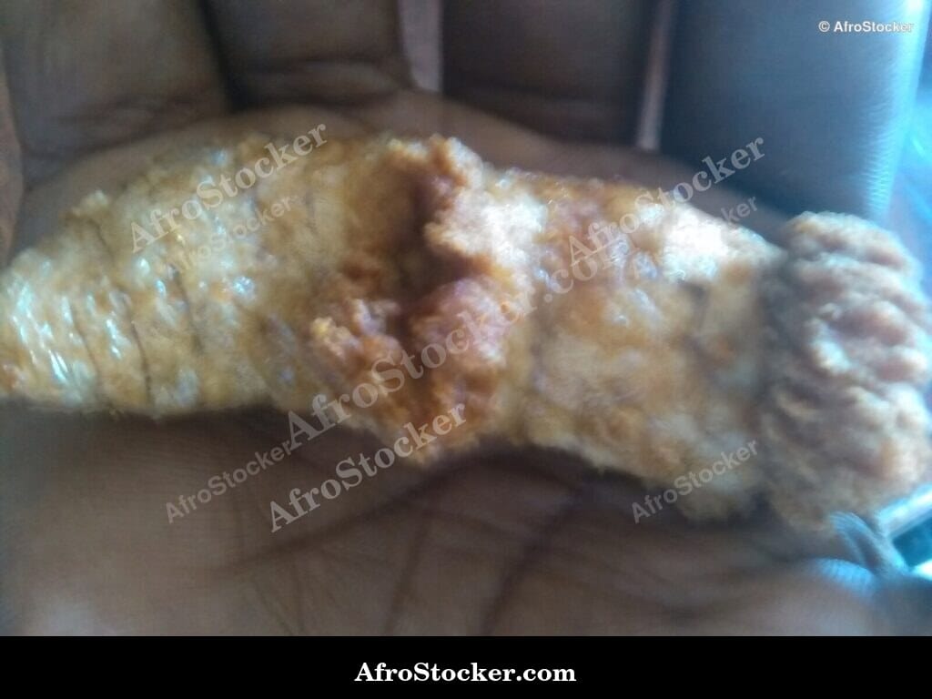 Grilled Fish Roe on Skewer, Africa