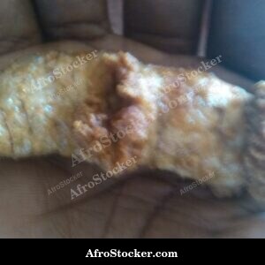 Grilled Fish Roe on Skewer, Africa