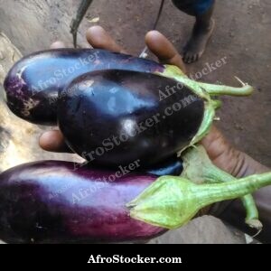 eggplants wooden surface rustic africa farm