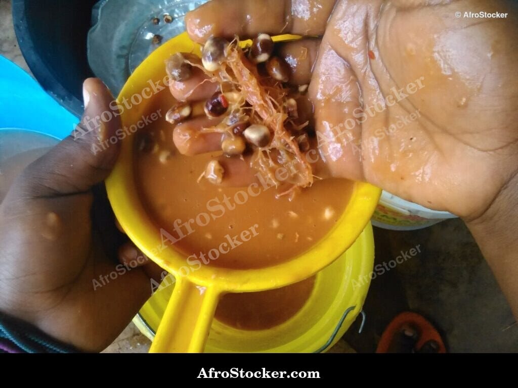 Traditional African Fruit Juice - AfroStocker