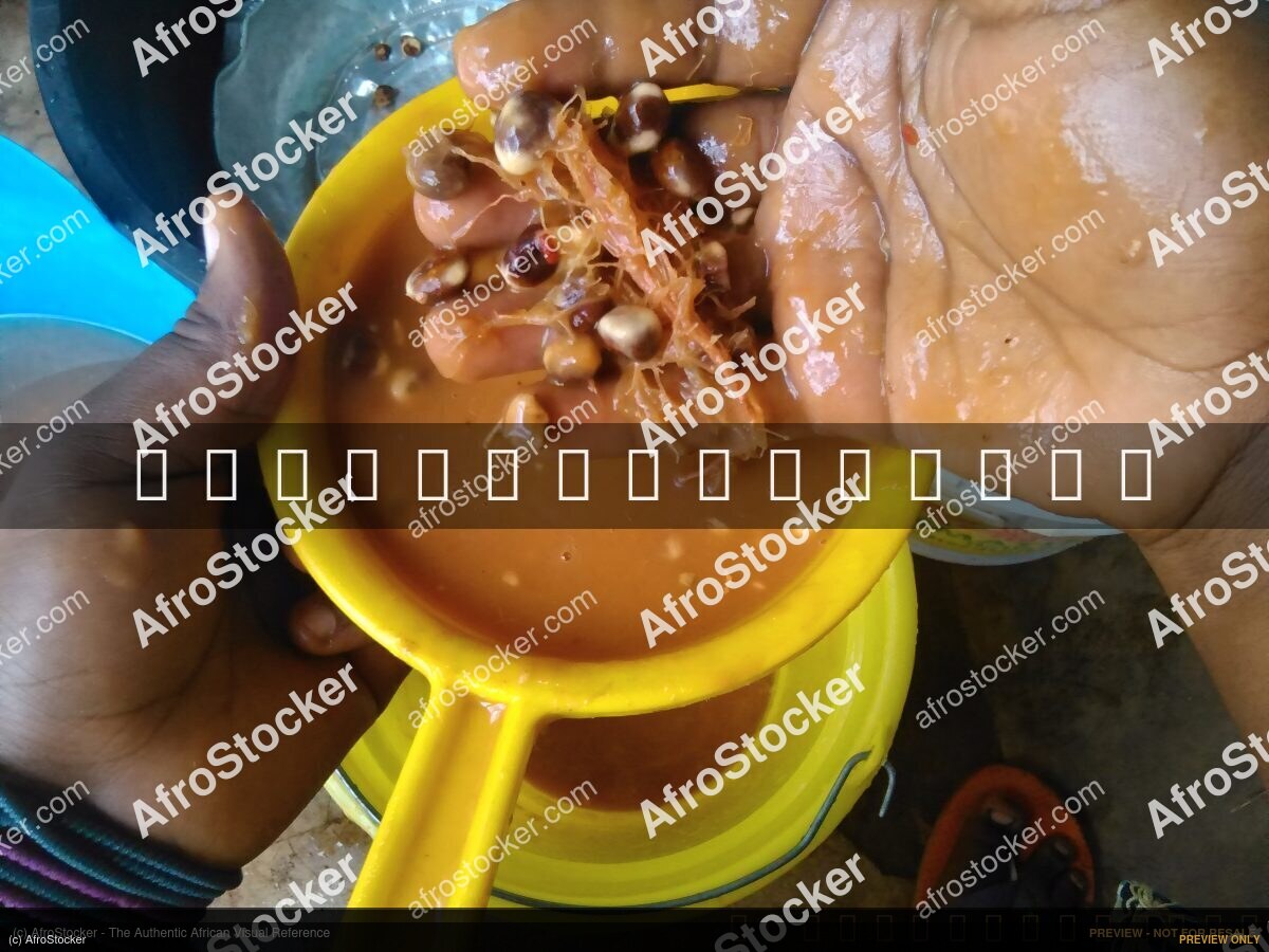 Traditional African Fruit Juice - AfroStocker