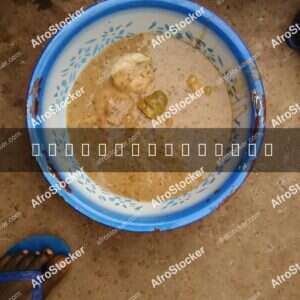 Tô Dish, Staple Food of West Africa - AfroStocker