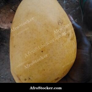 Mango Fruit Vibrant Color, Africa