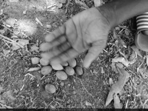 POD-Photographie Africaine — Culture et Vie Quotidienne POD Photographie Africaine — Culture et Vie Quotidienne