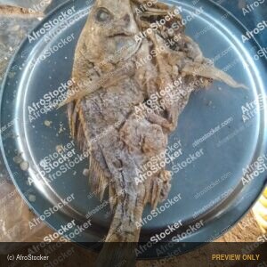 Traditional Smoked Fish, Africa - AfroStocker