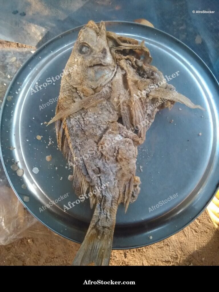 Traditional Smoked Fish, Africa - AfroStocker