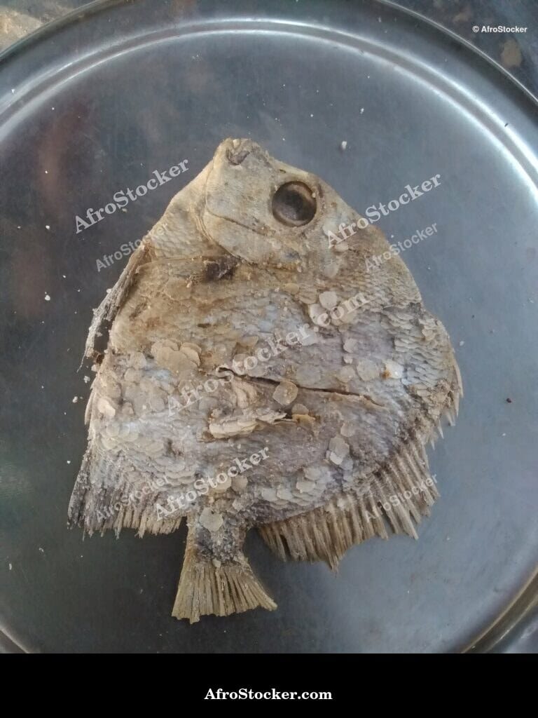 Dried Fish, Traditional African Preservation - AfroStocker