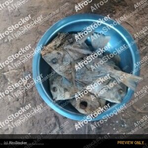Dried Fish Craft, African Cuisine - AfroStocker