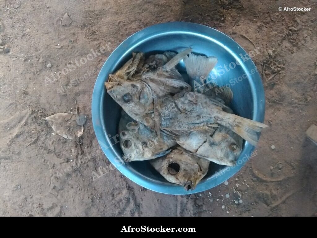 Dried Fish Craft, African Cuisine - AfroStocker