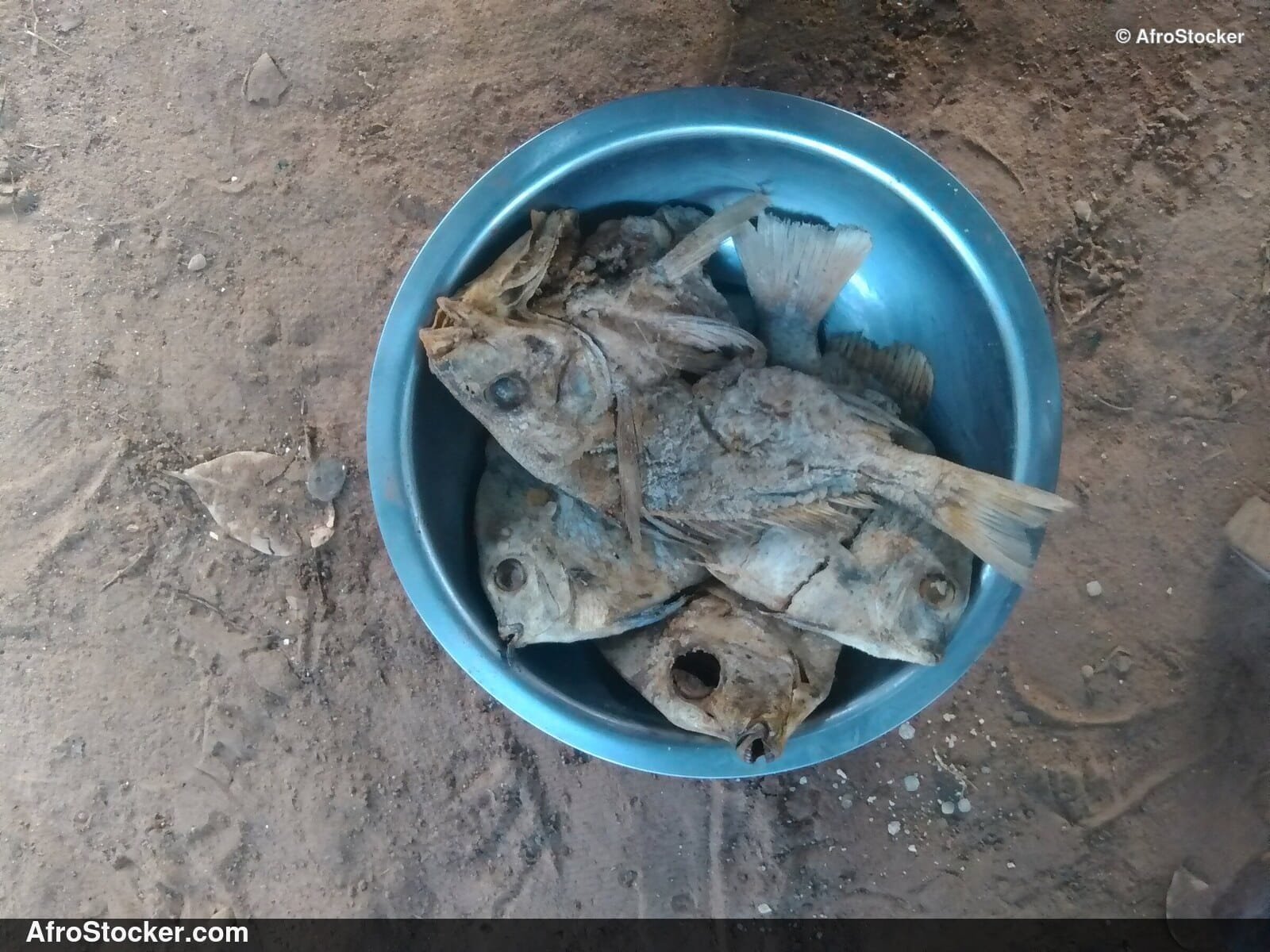 Dried Fish Craft, African Cuisine - AfroStocker