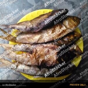 Fish Drying in the Sun, African Village - AfroStocker