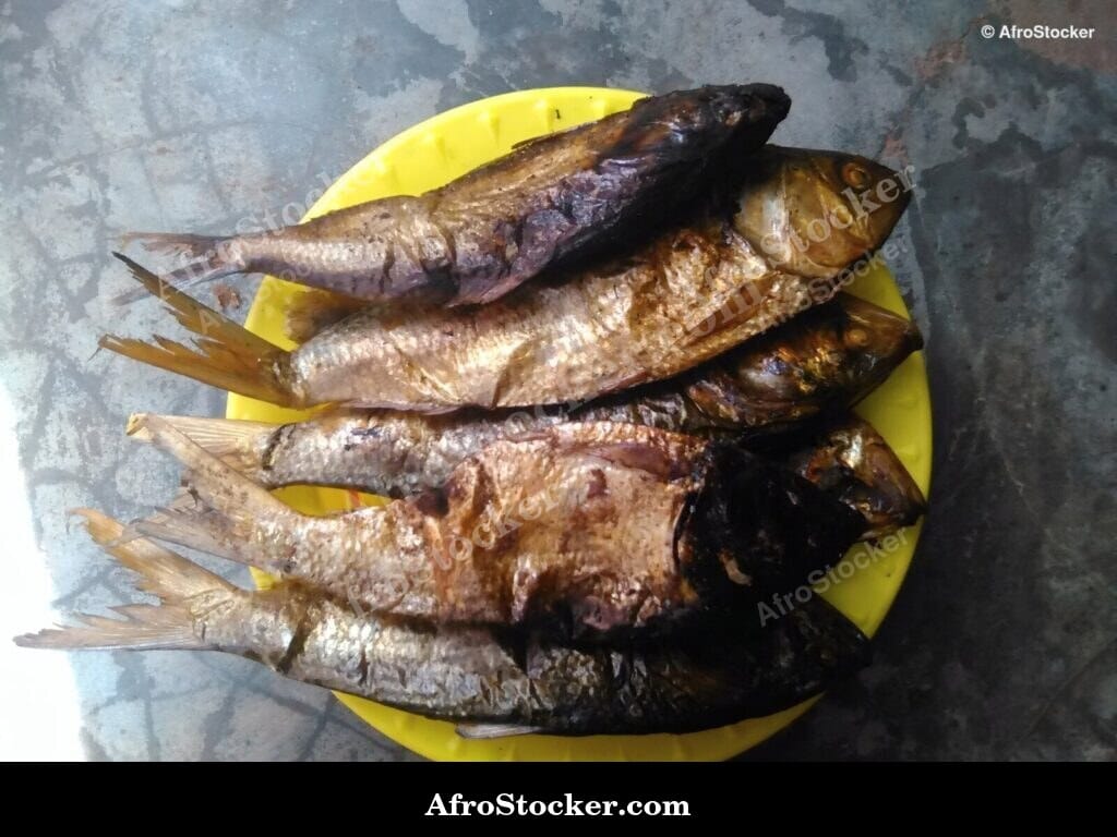 Fish Drying in the Sun, African Village - AfroStocker