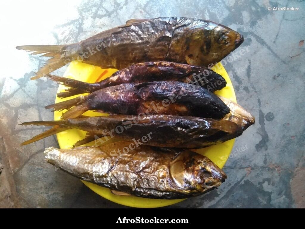 Dried Fish for Sale at African Market - AfroStocker