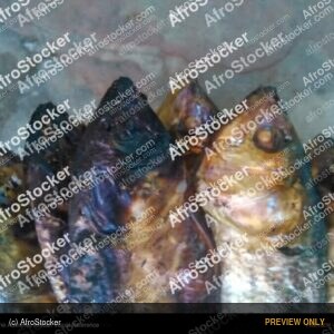 Smoked Dried Fish, African Tradition - AfroStocker